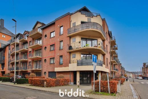 Presentatiebeeld van het pand n° 294025