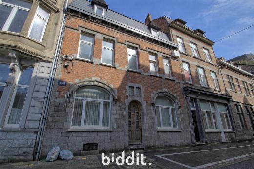 Presentatiebeeld van het pand n° 295763