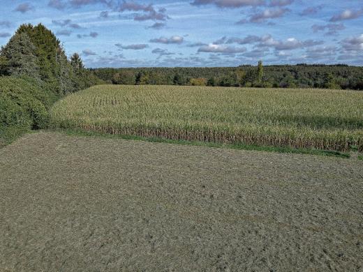 Derde alternatieve foto van het pand