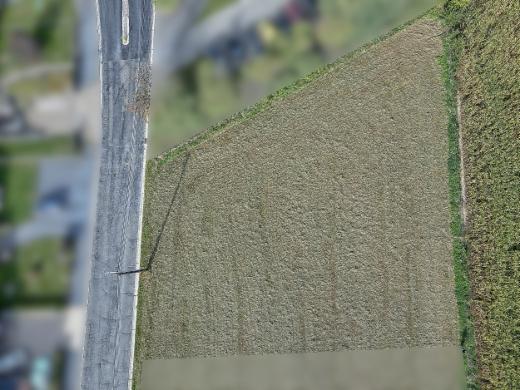 Tweede alternatieve foto van het pand