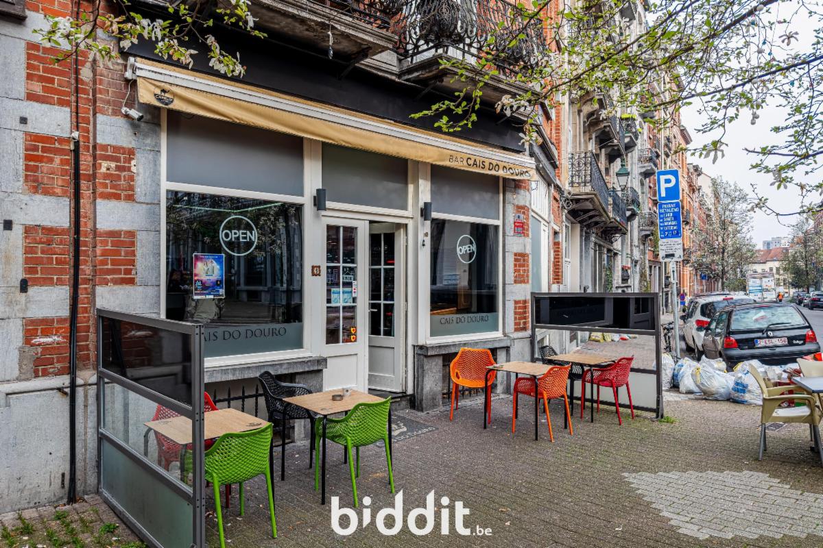 Presentatiebeeld van het pand n° 294081