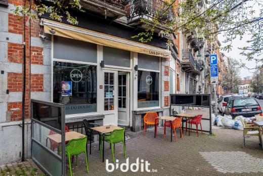 Presentatiebeeld van het pand n° 294081