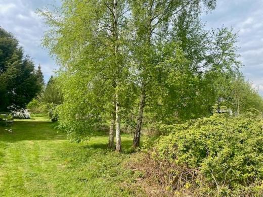 Tweede alternatieve foto van het pand