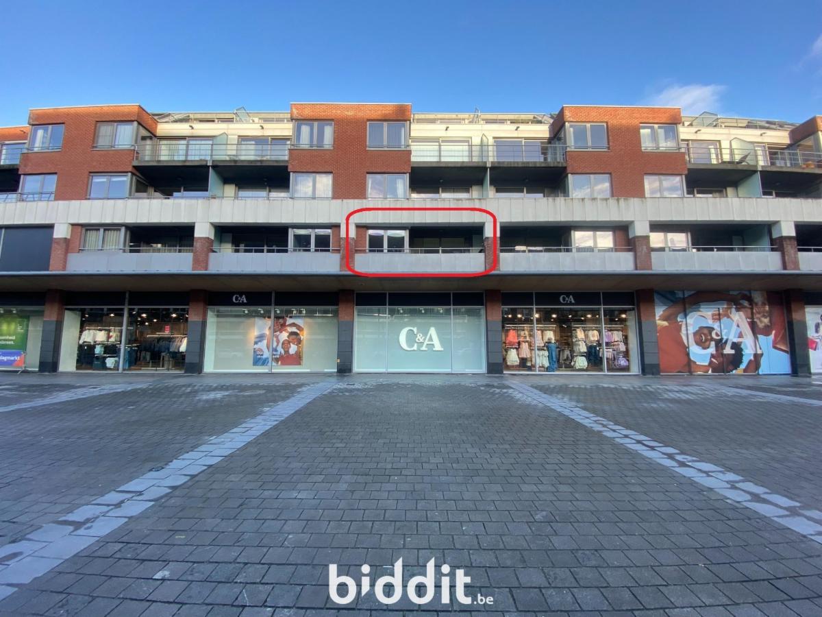 Presentatiebeeld van het pand n° 292020