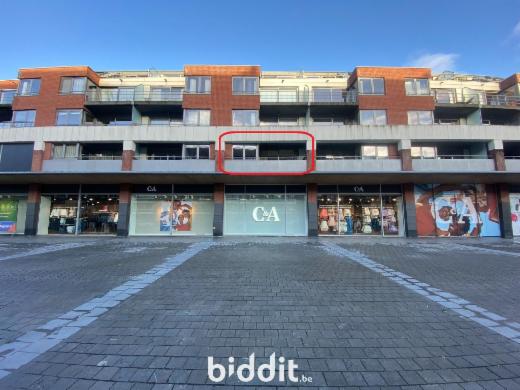 Presentatiebeeld van het pand n° 292020