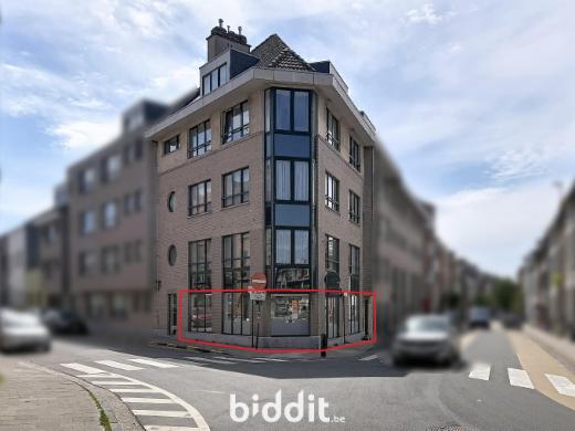 Presentatiebeeld van het pand n° 298934