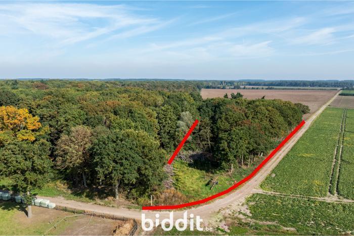 Presentatiebeeld van het pand n° 291029