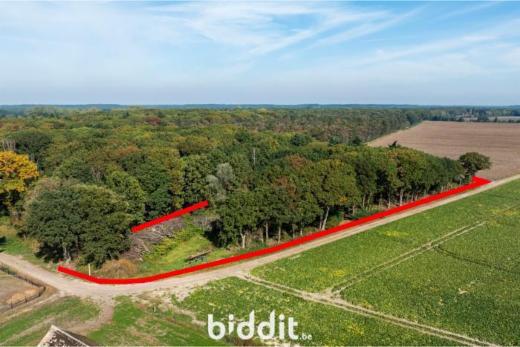 Eerste alternatieve foto van het pand