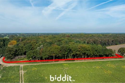 Tweede alternatieve foto van het pand