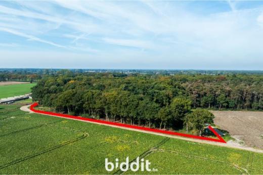 Derde alternatieve foto van het pand