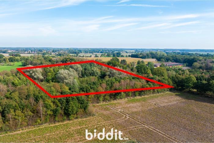 Presentatiebeeld van het pand n° 291106