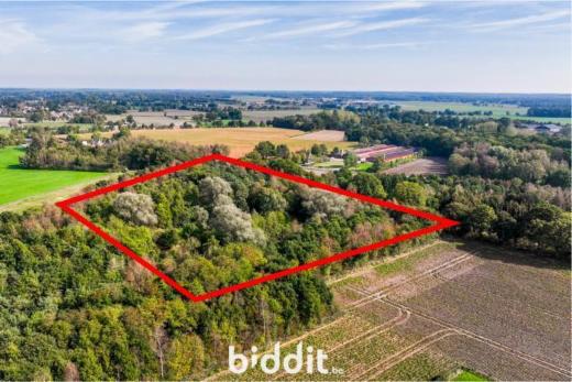 Tweede alternatieve foto van het pand