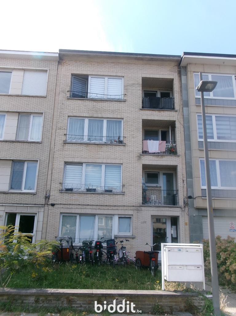 Presentatiebeeld van het pand n° 294472