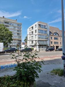 Presentatiebeeld van het pand n° 298351