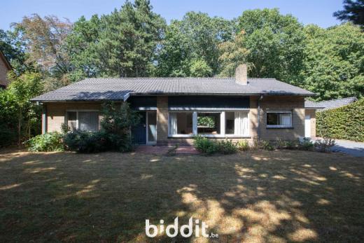 Presentatiebeeld van het pand n° 300068