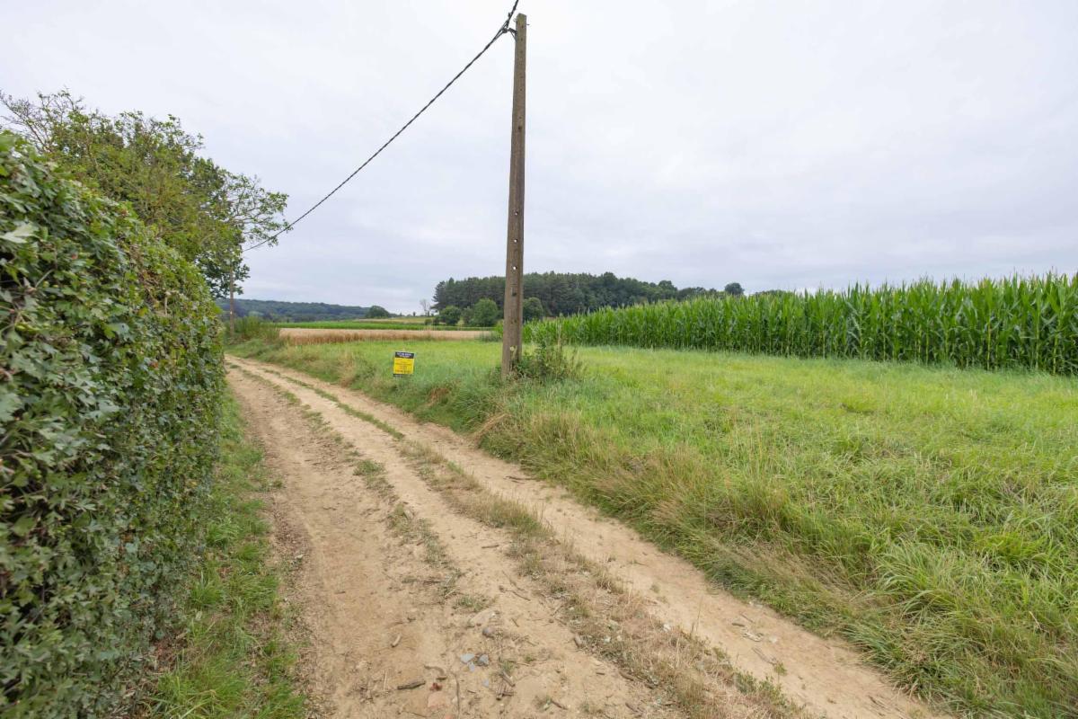 Presentatiebeeld van het pand n° 298670