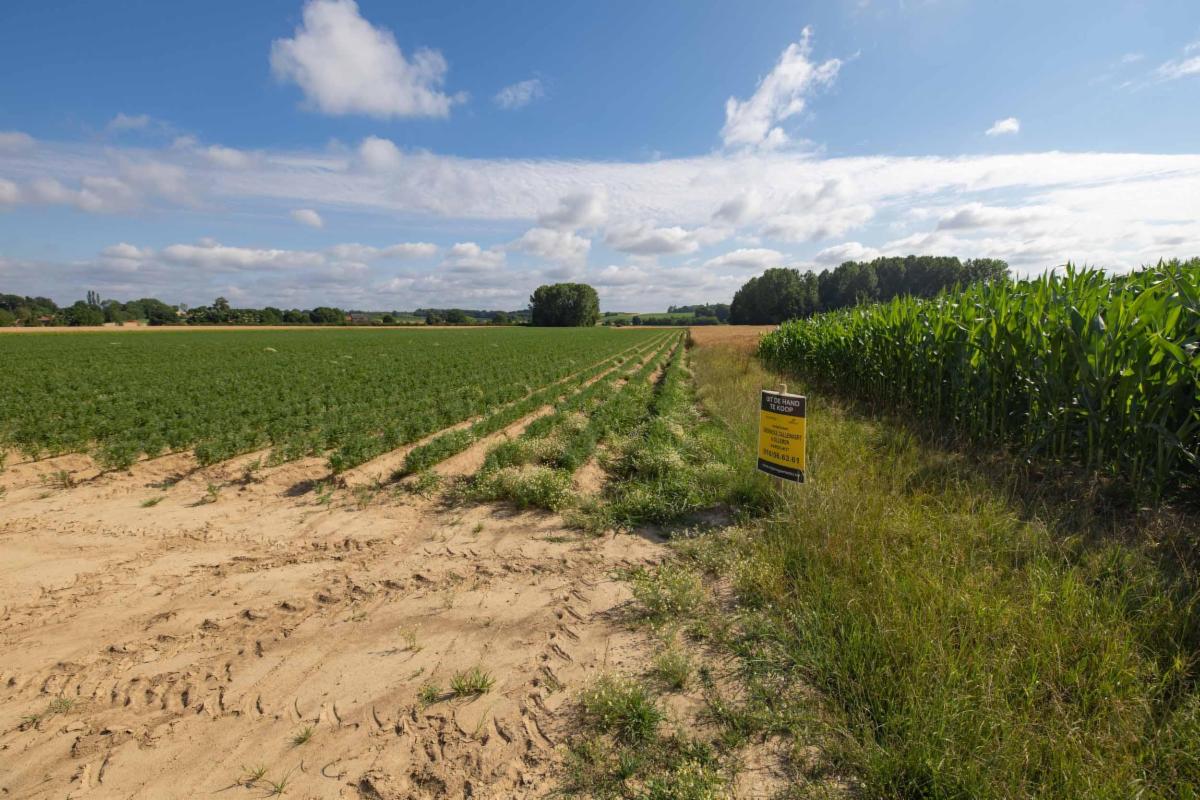 Presentatiebeeld van het pand n° 298685