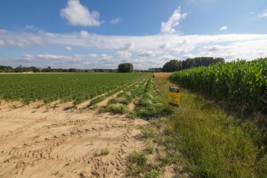Presentatiebeeld van het pand n° 298685