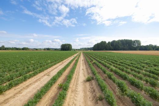 Tweede alternatieve foto van het pand