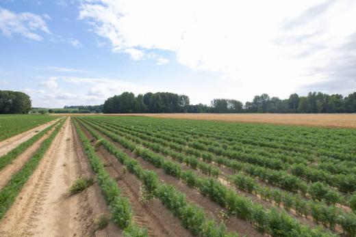 Derde alternatieve foto van het pand