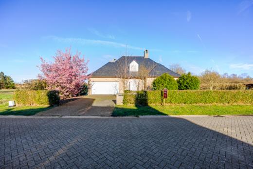 Presentatiebeeld van het pand n° 301353
