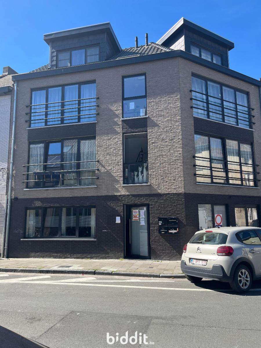 Presentatiebeeld van het pand n° 295072