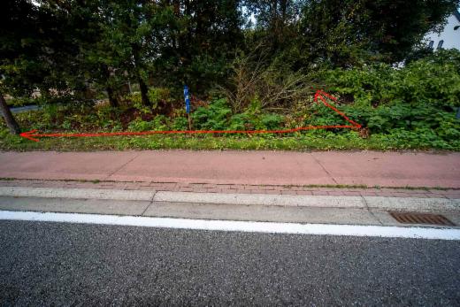Presentatiebeeld van het pand n° 288828