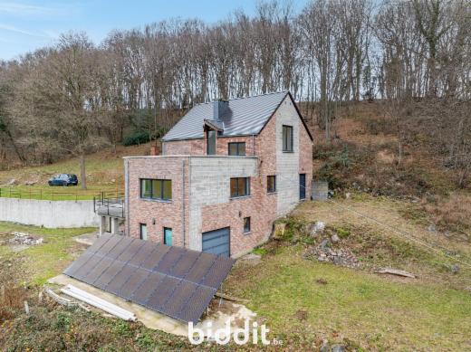 Eerste alternatieve foto van het pand