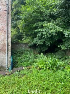 Tweede alternatieve foto van het pand
