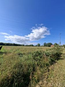 Eerste alternatieve foto van het pand