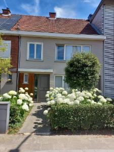 Presentatiebeeld van het pand n° 283145