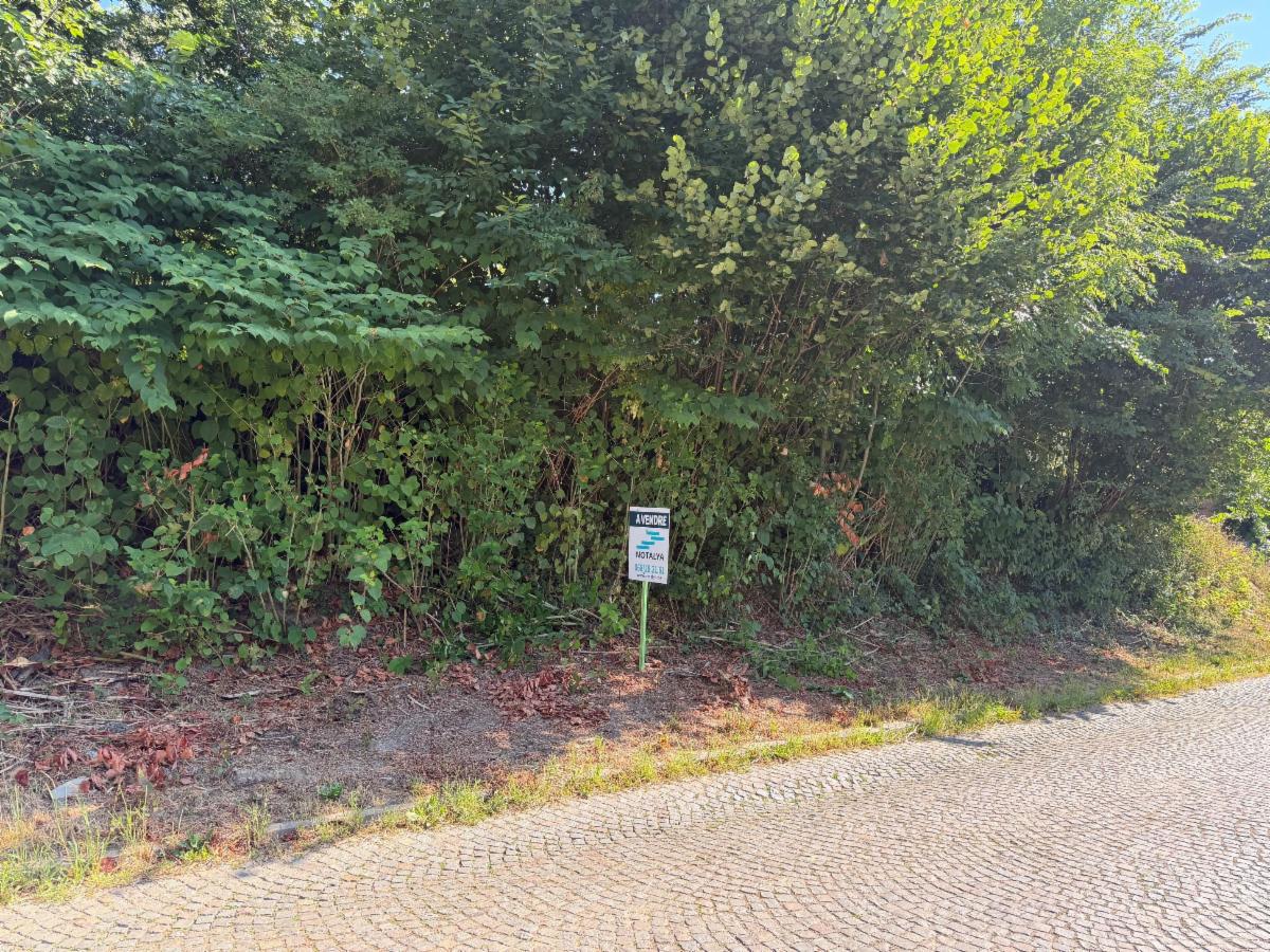 Presentatiebeeld van het pand n° 299391