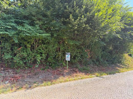 Presentatiebeeld van het pand n° 299391