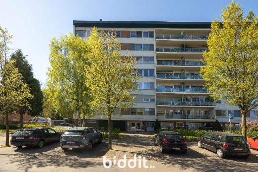 Presentatiebeeld van het pand n° 282861