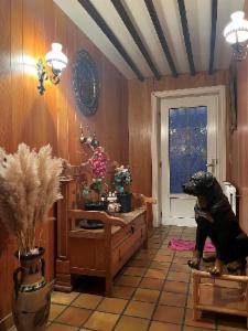 Eerste alternatieve foto van het pand