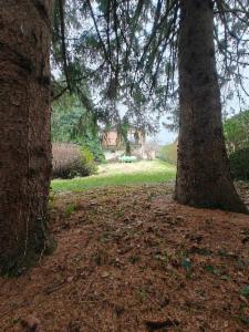 Derde alternatieve foto van het pand