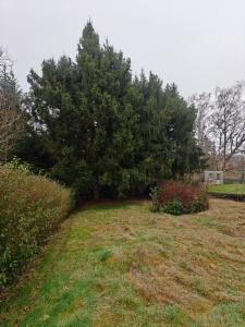 Tweede alternatieve foto van het pand