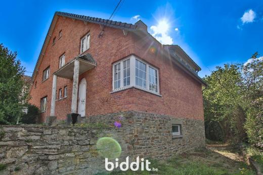 Presentatiebeeld van het pand n° 295833