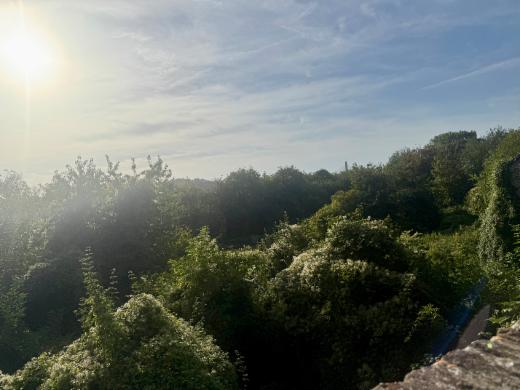 Eerste alternatieve foto van het pand