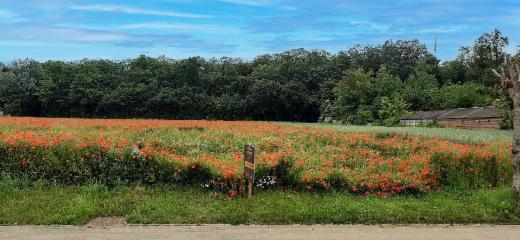 Eerste alternatieve foto van het pand