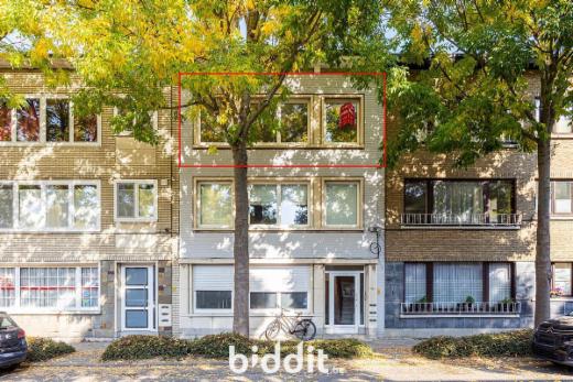 Presentatiebeeld van het pand n° 288119