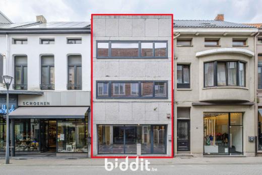 Presentatiebeeld van het pand n° 296806