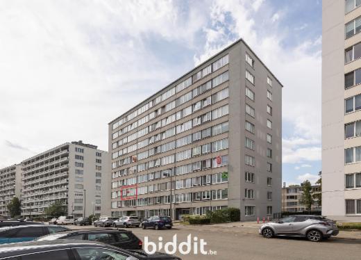 Presentatiebeeld van het pand n° 299931