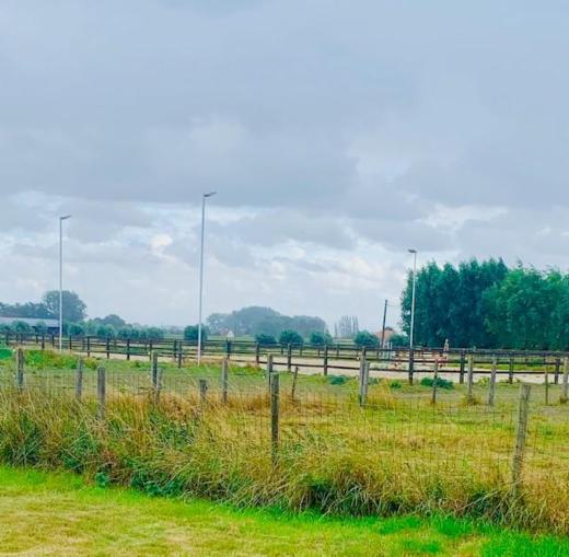 Tweede alternatieve foto van het pand