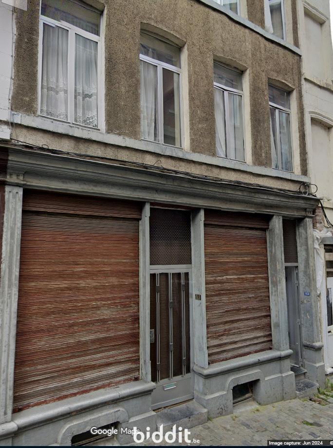 Presentatiebeeld van het pand n° 294517