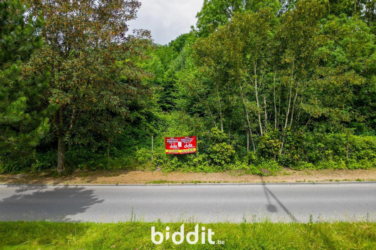 Presentatiebeeld van het pand n° 297482
