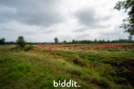 Derde alternatieve foto van het pand