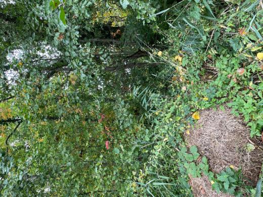 Eerste alternatieve foto van het pand