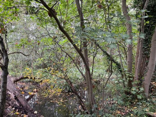 Tweede alternatieve foto van het pand