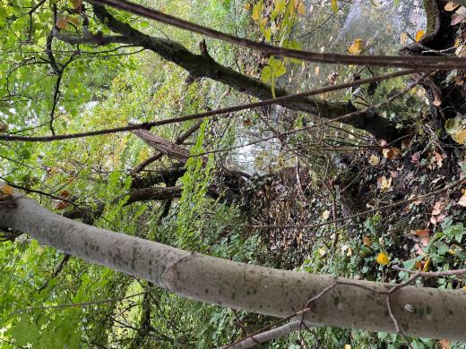 Derde alternatieve foto van het pand